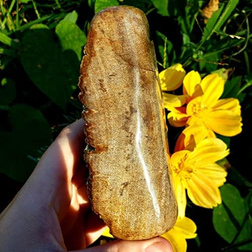 Вкаменено Дърво, полирана ръчно голям кристал, здравословен натурален метафизически скъпоценен камък от Индонезия - интересното № 3