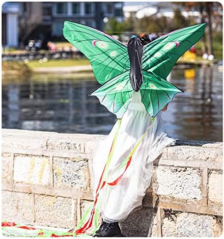 Кайт хвърчила зелен Кайт пеперуди големи лесно да лети Хвърчило за възрастни Спорт на открито Кайт дълго хвърчила опашката